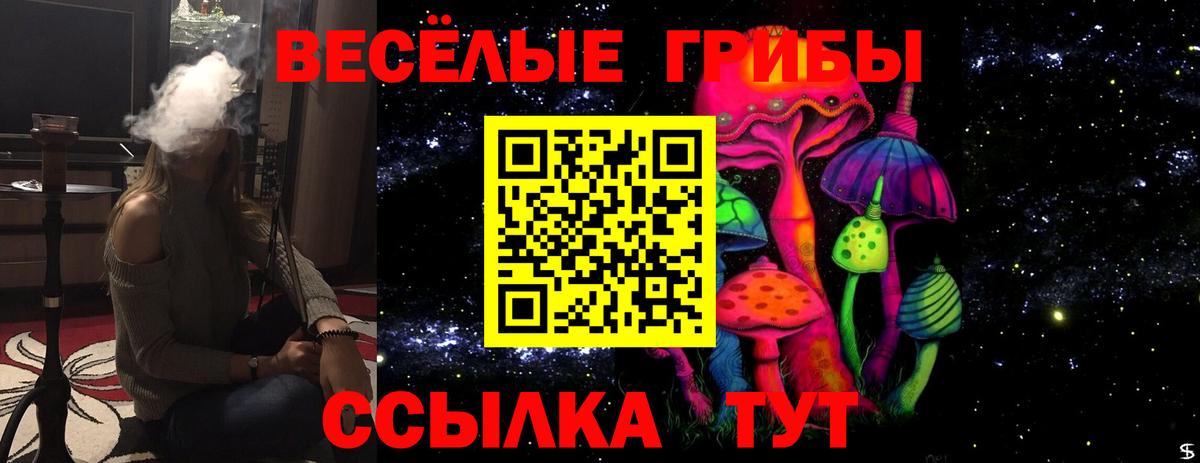 Коломна  Галлюциногенные грибы MAGIC MUSHROOMS  Вход с VPN  Псилоцибиновые грибы Psilocybe 